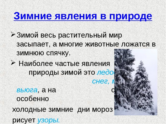 Явления зимой. Зимние явления в живой природе. Явления неживой природы зимой. Зимние явления в живой природе 2 класс. Зимние явления в живой и неживой природе.