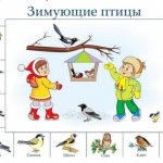 Conversation for children of the preparatory group “Feed the birds in winter”