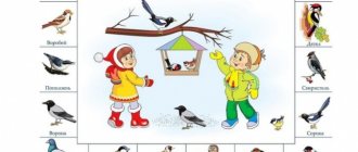 Беседа для детей подготовительной группы «Покормите птиц зимой»