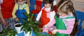 Children, under the supervision of a teacher, care for plants