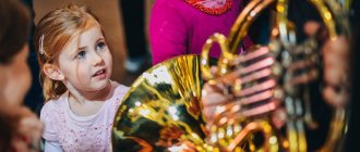 Children get acquainted with musical instruments