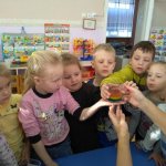 Experimental activities in kindergarten: tasks, methods and techniques