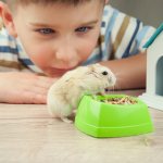 Animals develop a child&#39;s powers of observation